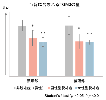 図2 非脱毛症と脱毛症の毛幹に含まれるTGM3の量