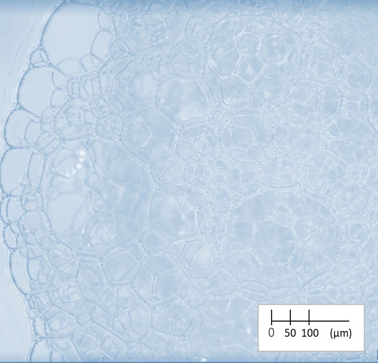 アワニスト スカルプシャンプーを 『AWANIST』を使わずに立てた泡 （顕微鏡画像）