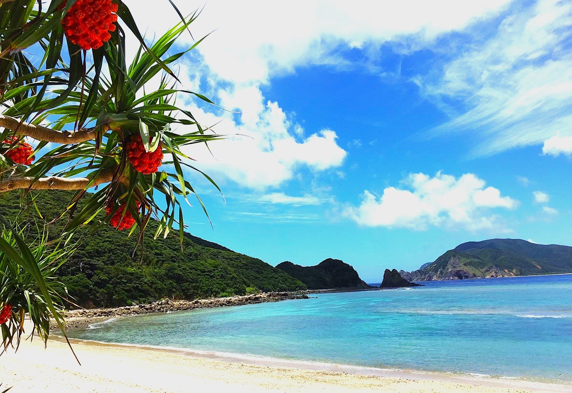 東京駅で鹿児島の“知られざる逸品”に出会う2日間。「南国かごしま キラリグルメフェア」12月12日・13日に初開催