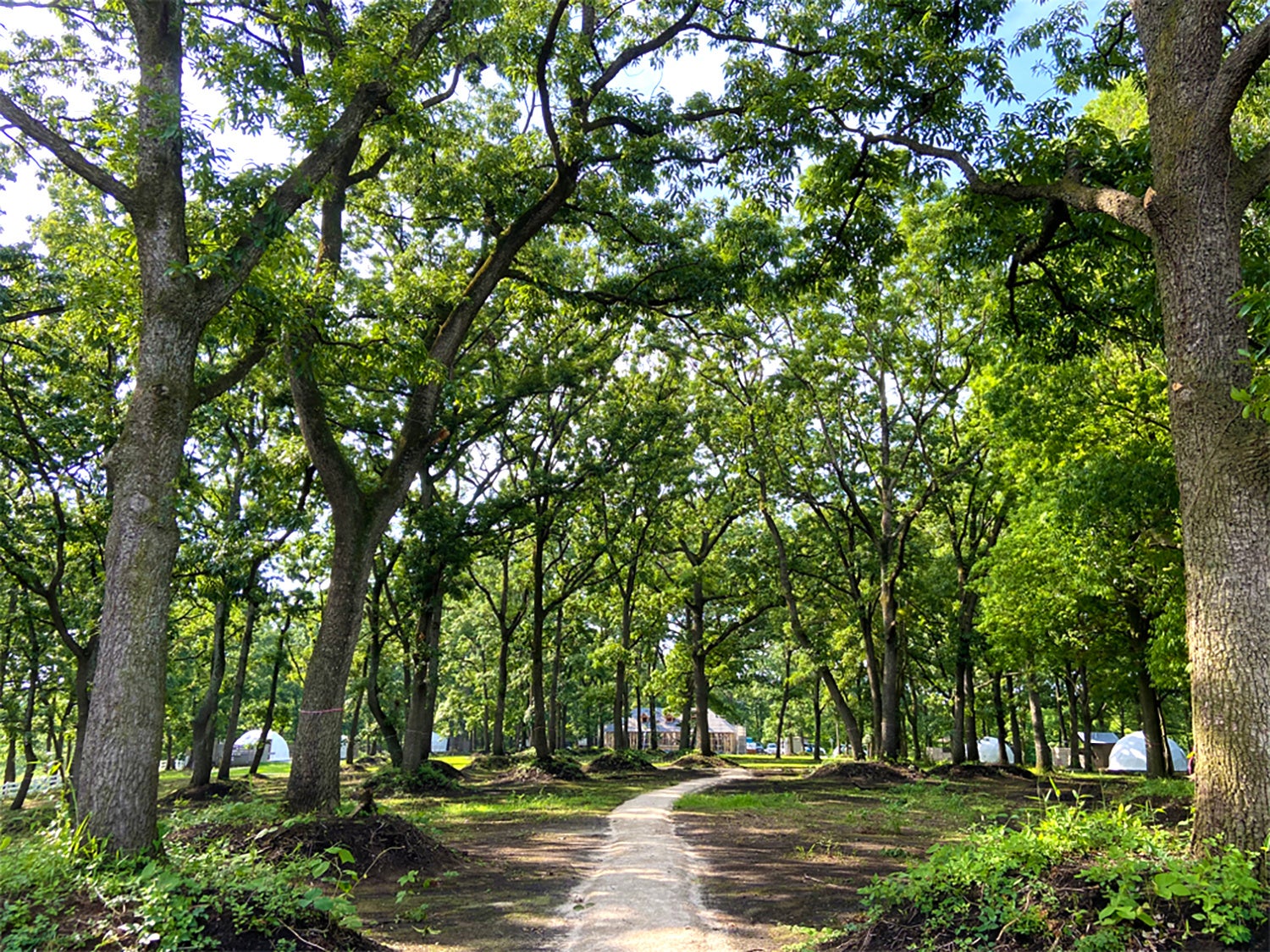 芳賀ファーム&グランピング