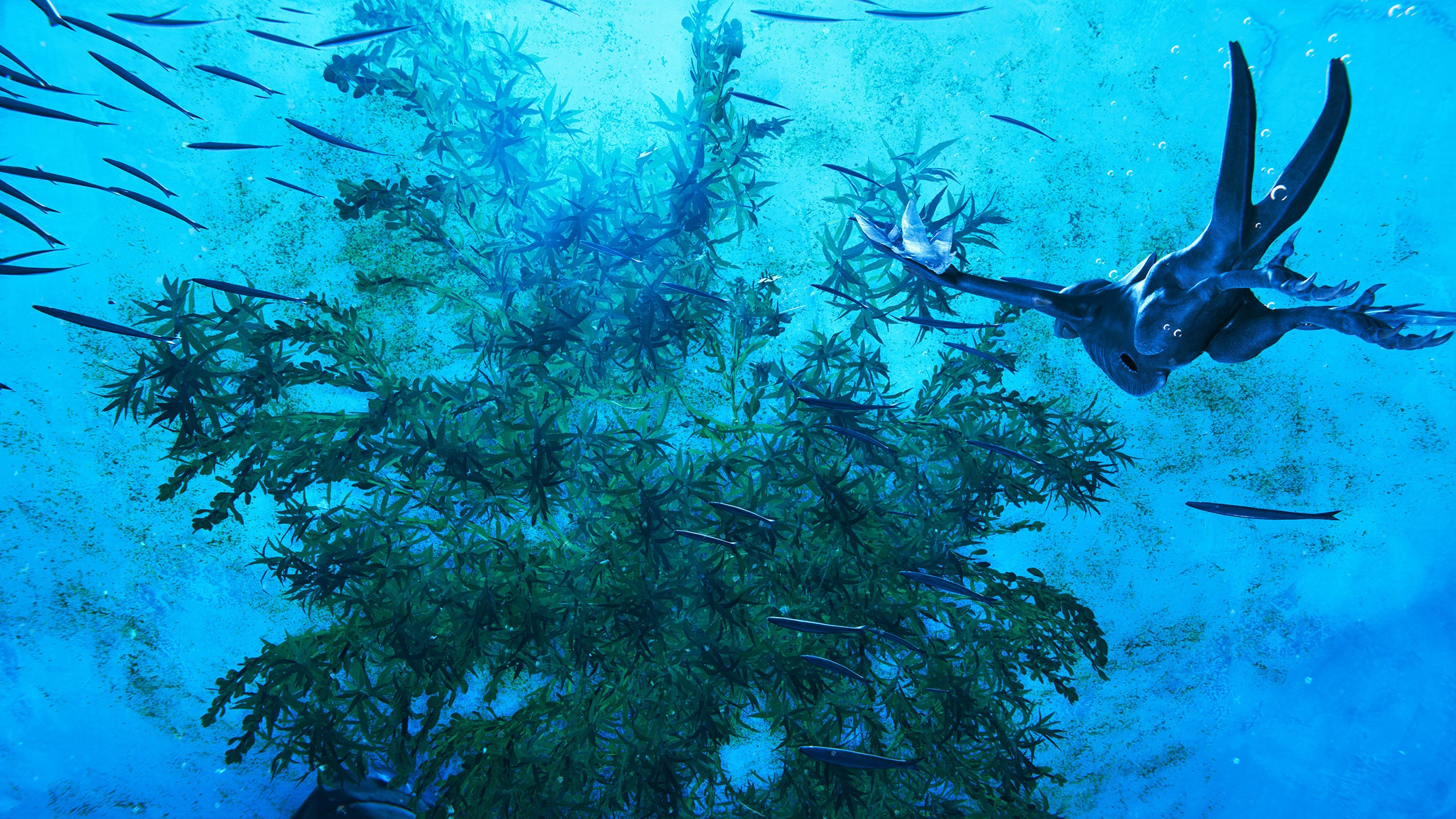 『グレイシャード』スクリーンショット7