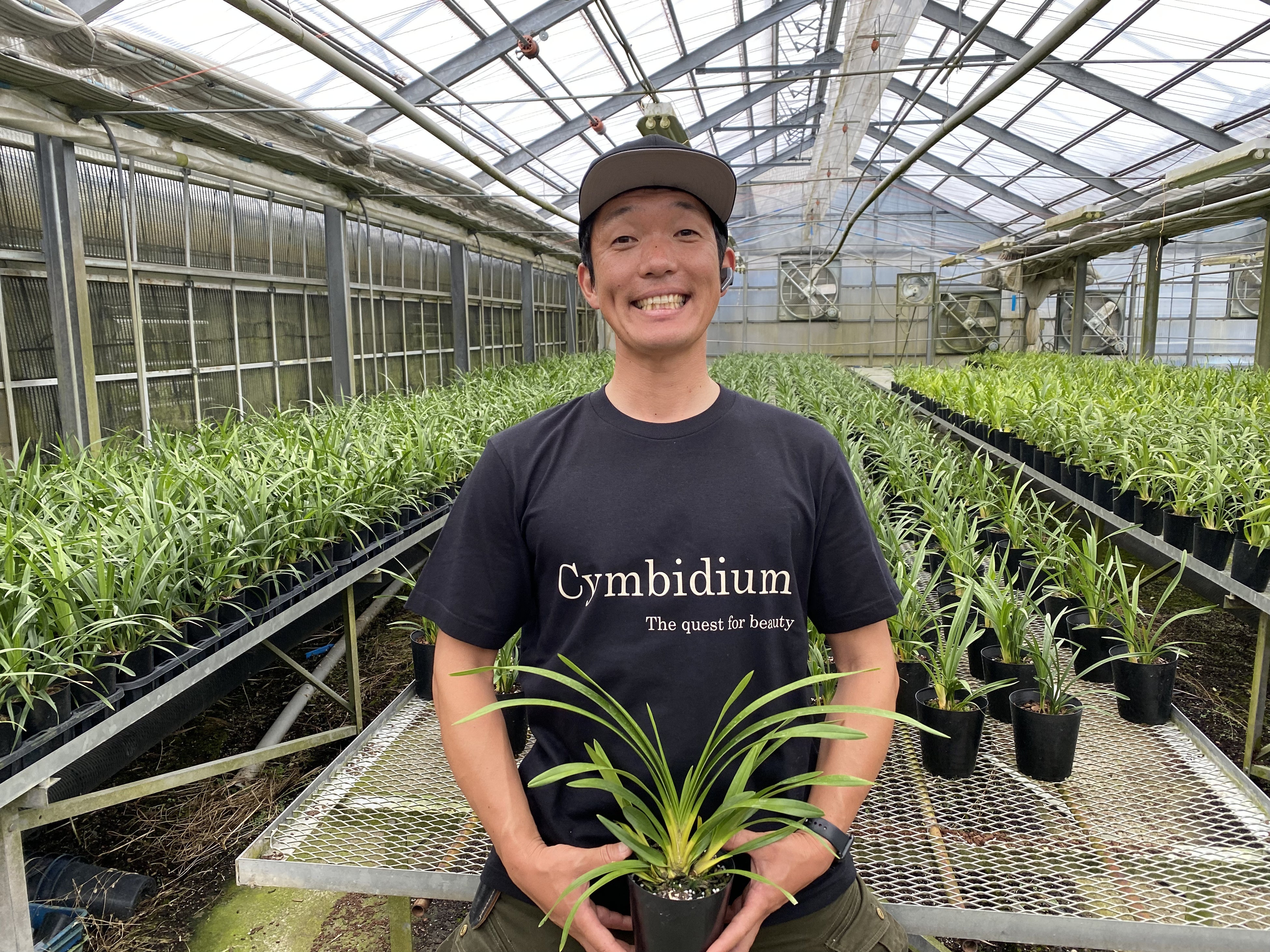 ミニシンビジウムの育種家　石田蘭園さん　高知県