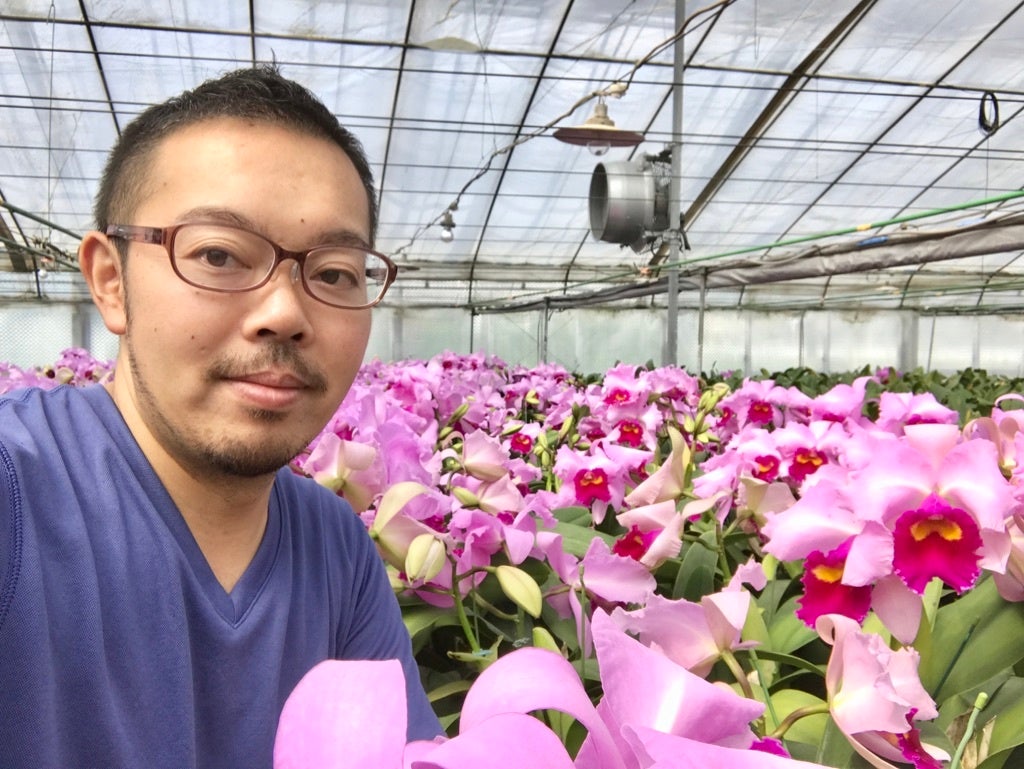 カトレア、胡蝶蘭の生産者　たがみオーキッドさん　埼玉県