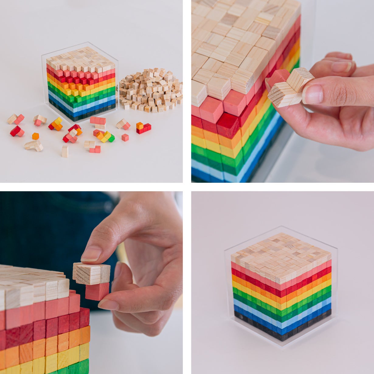 きみたつマシカク　プレミアム立体パズルキット