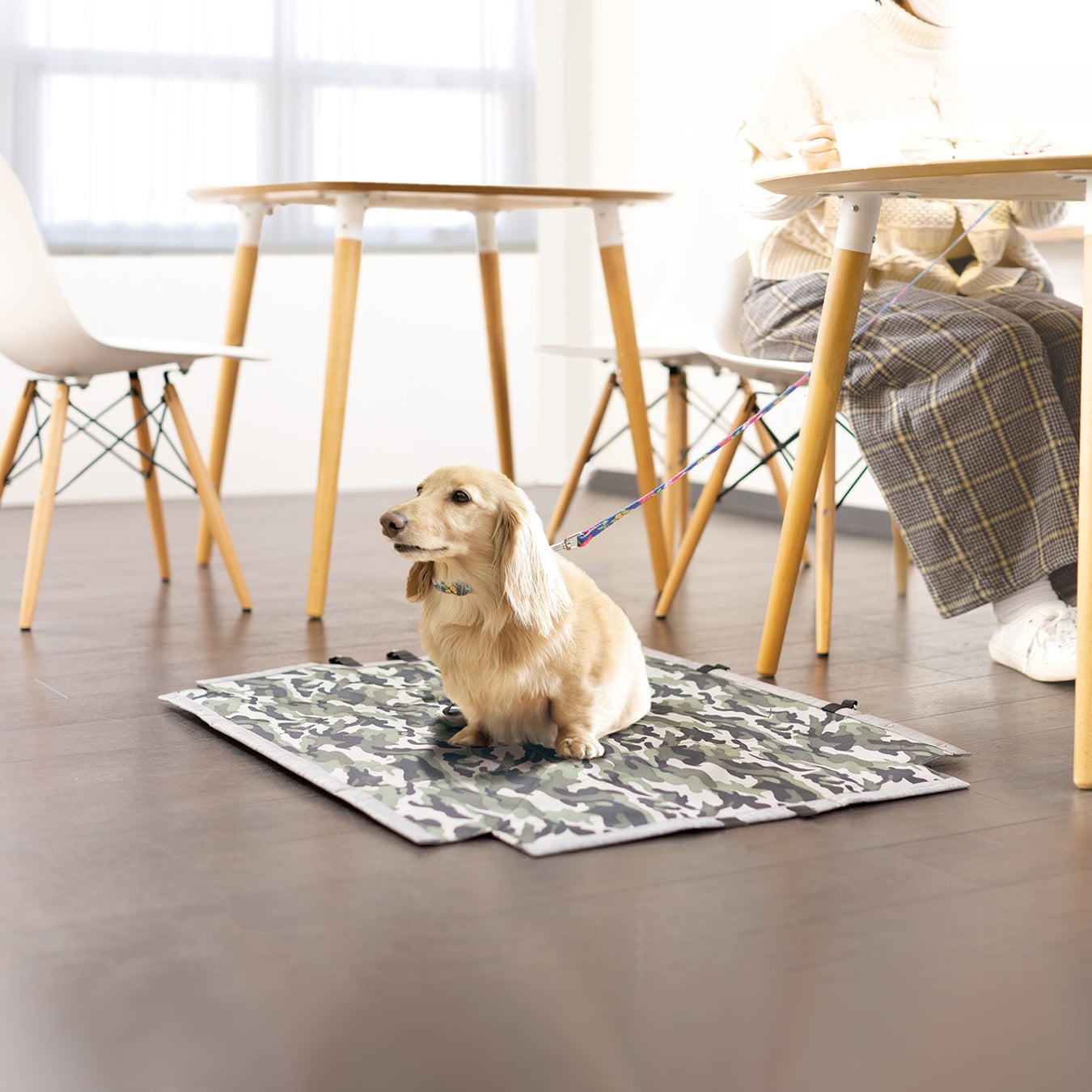 広げればペットマットに早変わり