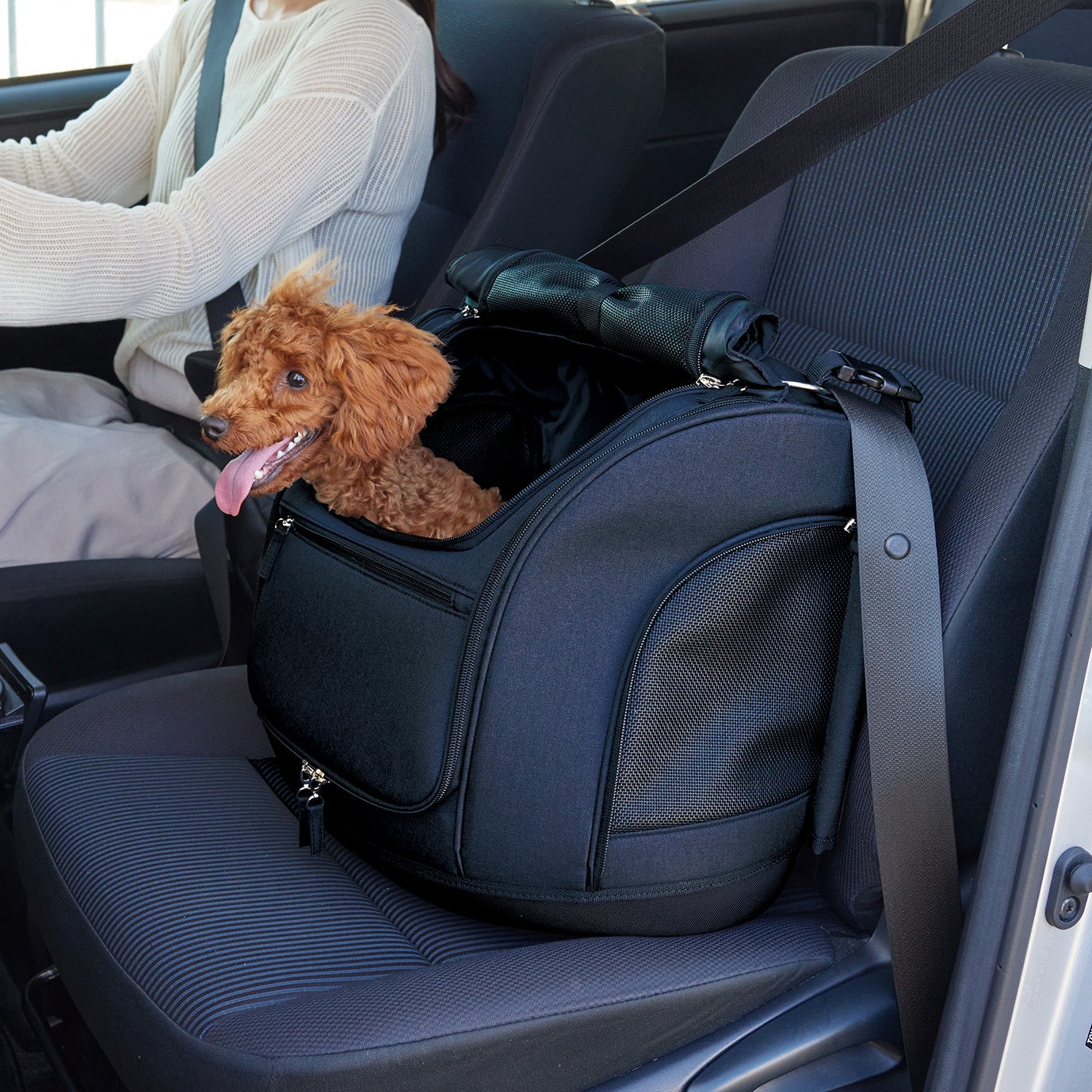 車でもご利用できます。