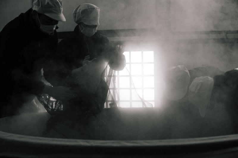 木内酒造の酒造り（こちらは製造工程の蒸米の様子）