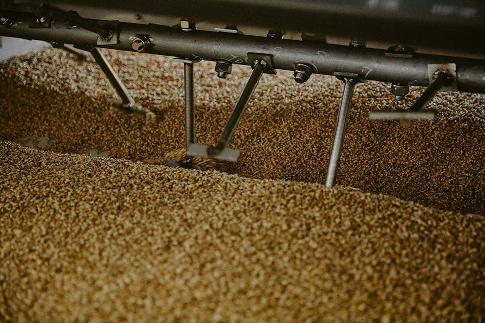 石岡の蔵の製麦工場におけるフロアモルティングの様子