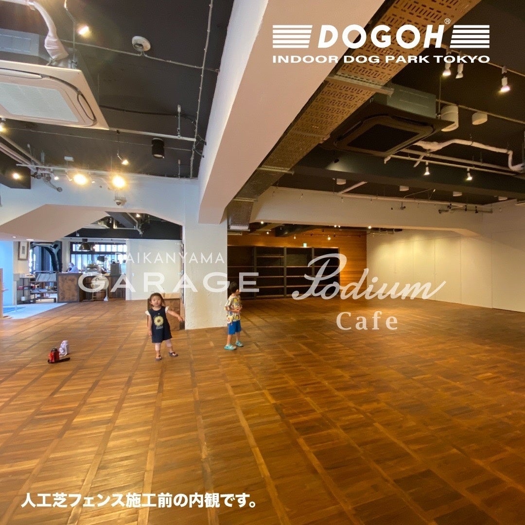 DOGOH INDOOR DOG PARK TOKYO2022第二弾_室内イメージ4