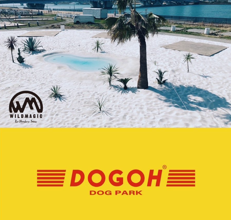DOGOH DOGPARK