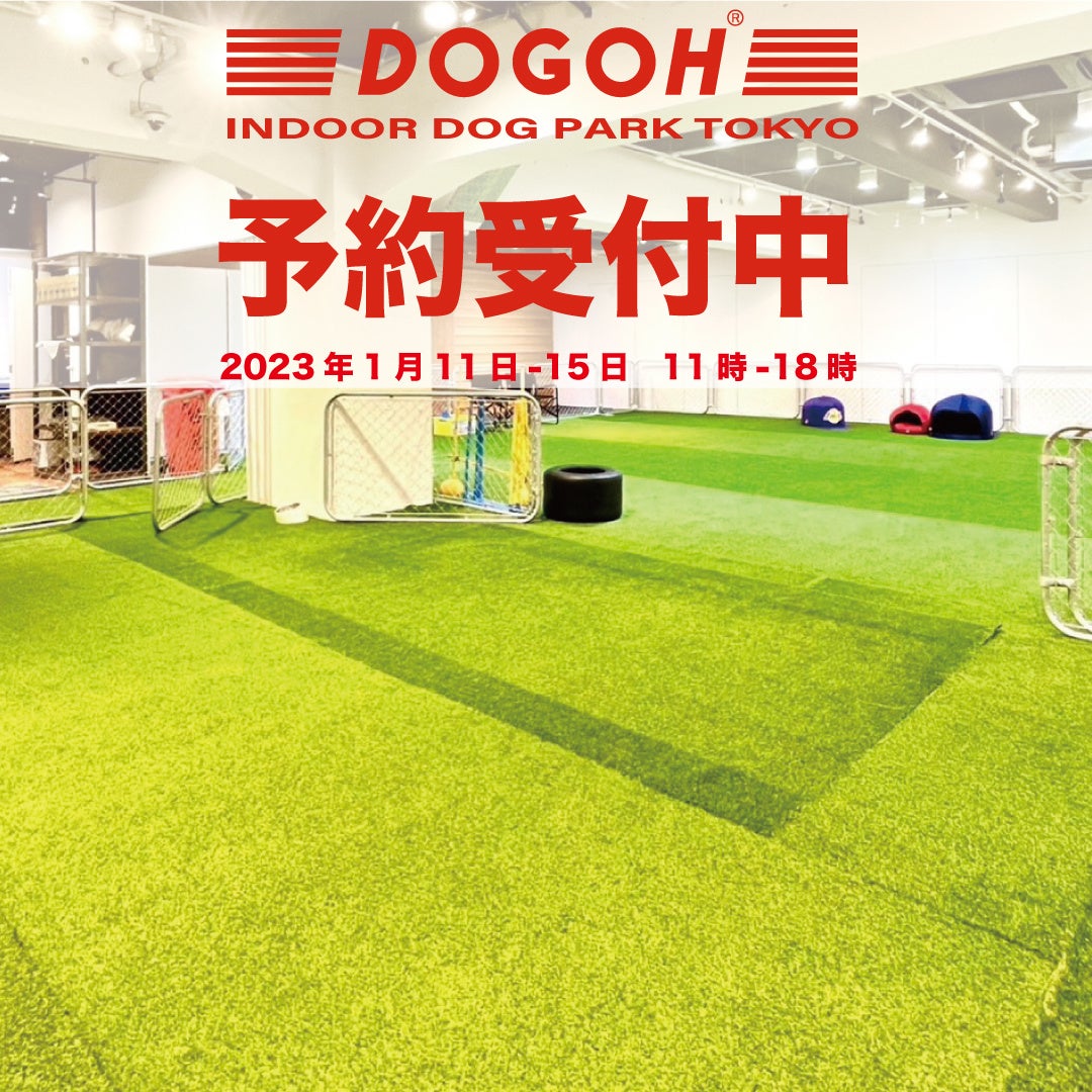 【中古】 ダメな犬はいない/講談社/バーバラ・ウッドハウス Amazon.co.jp: ダメな犬はいない (講談社文庫 う 12-1