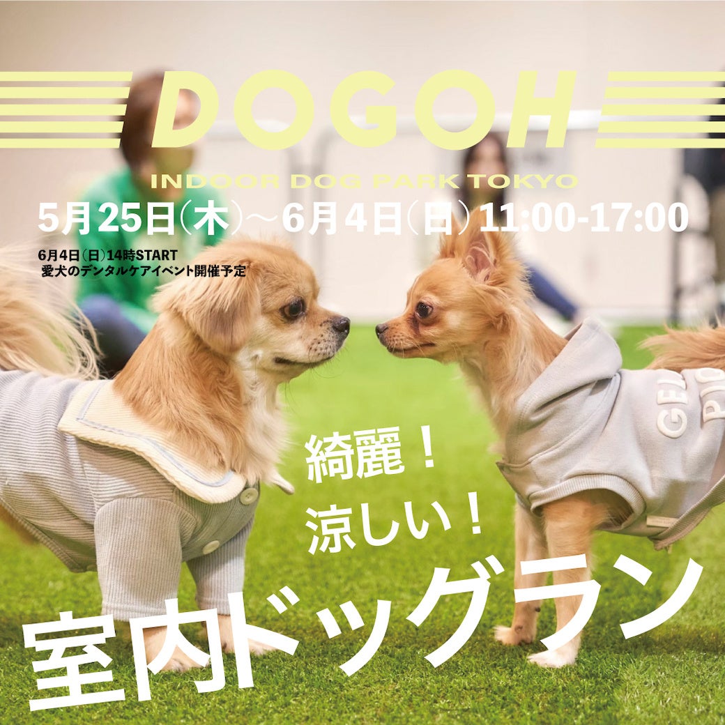 5月25日〜6月4日 代官山,中目黒エリアで室内ドッグラン開催中！
