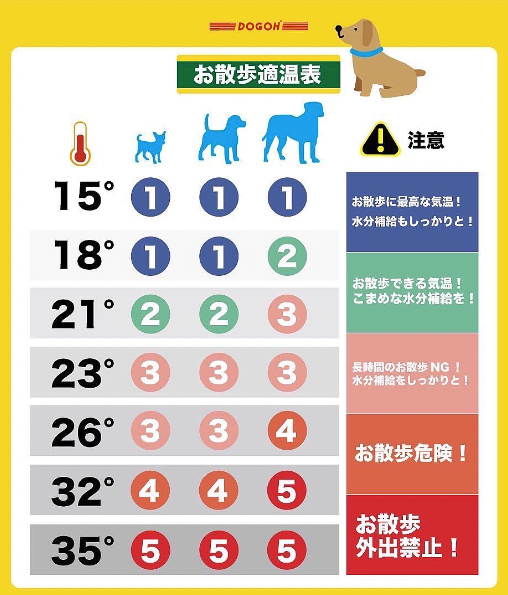 愛犬 お散歩適温表