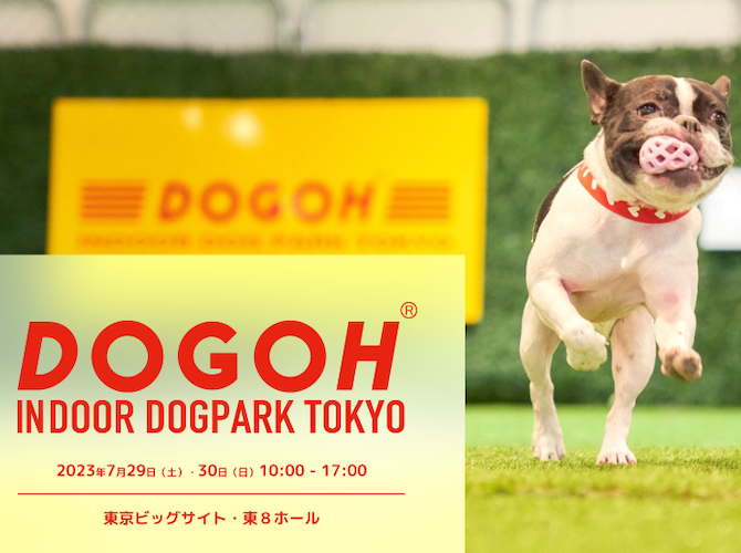 ポルシェセンター青山 presents DOGOH INDOOR DOGPARK TOKYO