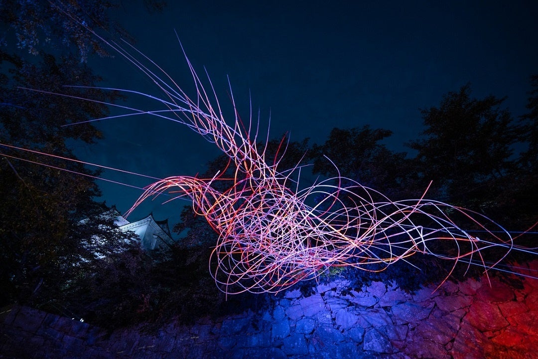 飛翔～鶴に雲～➁