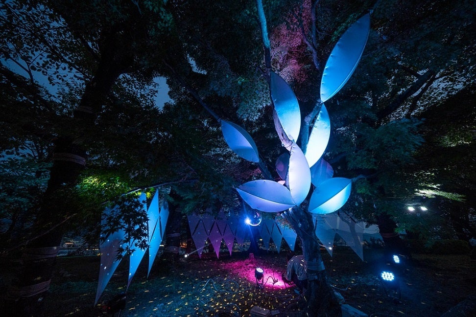 Summer of cherry tree➁