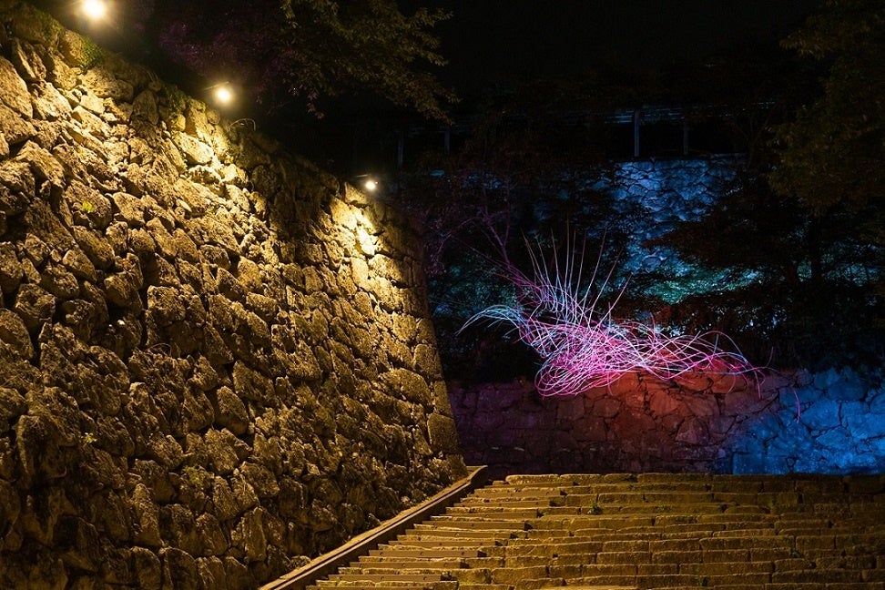 飛翔～鶴に雲～①