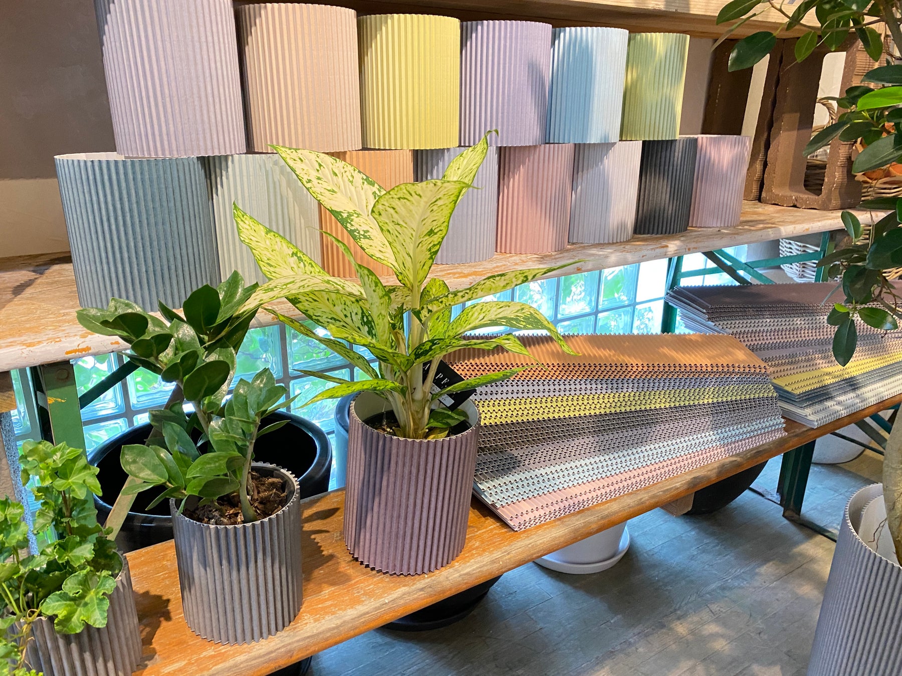 たった5秒でお部屋がおしゃれに ありそうでなかった 9色から選べるダンボール製の観葉植物専用鉢 カバー Kakou 株式会社cotohaのプレスリリース たった5秒でお部屋がおしゃれに ありそうでなかった 9色から選べるダンボール製の観葉植物専用鉢 カバー Kakou 株式会社cotohaのプレスリリース