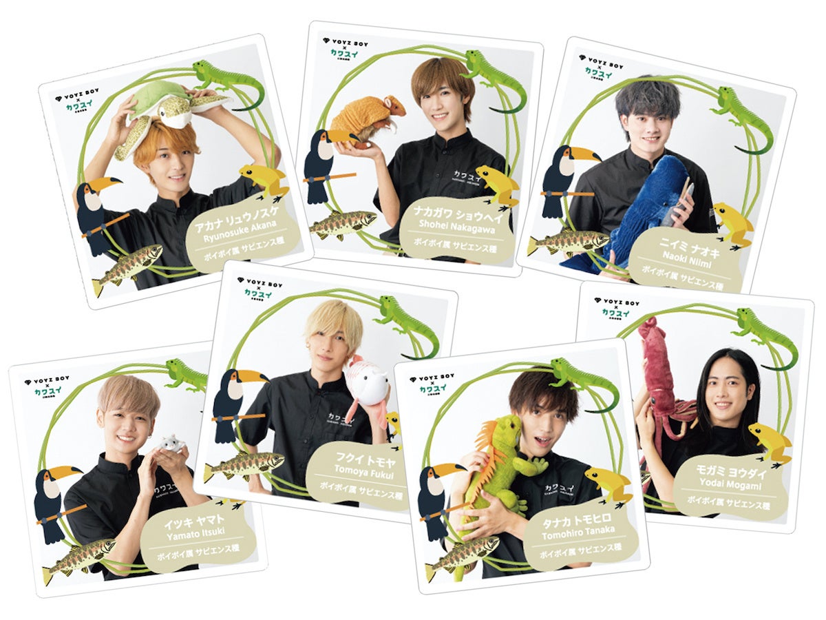 【専用出品】VOYZ BOY VOYZ BOYが公式アンバサダーを務める「カワスイ」でオリジナル