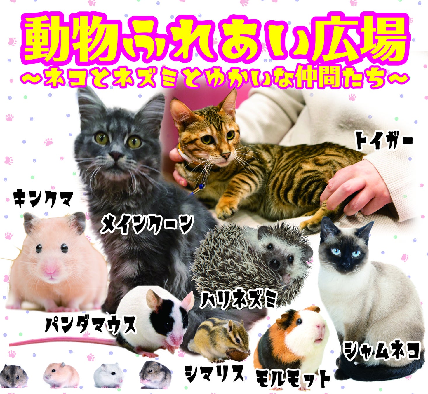 8月1日 月 より開幕 動物ふれあい広場 株式会社シーズ ライブのプレスリリース 8月1日 月 より開幕 動物ふれあい広場 株式会社シーズ ライブのプレスリリース