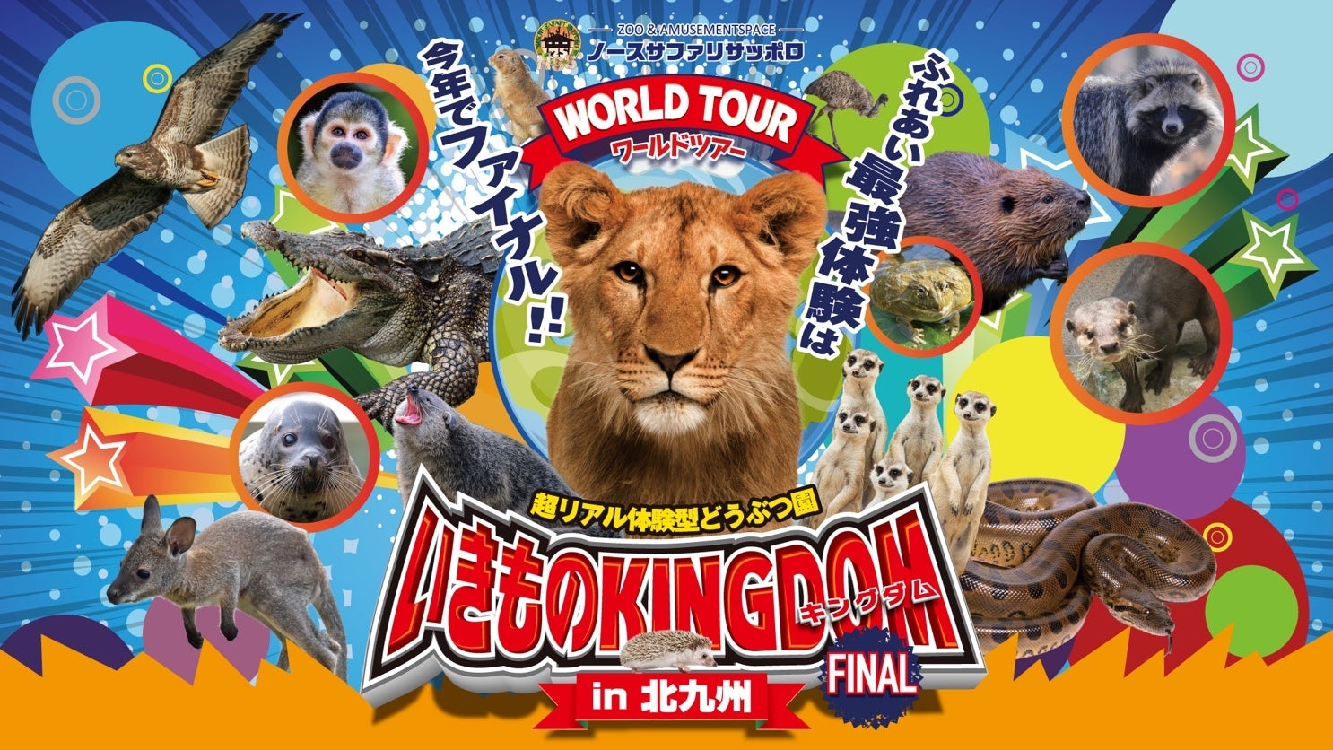 仔ギツネだっこ体験も登場 特別な体験やふれあい を思いっきり楽しもう いきものキングダム 北九州final ついに7 27 水 より開幕 株式会社シーズ ライブのプレスリリース 仔ギツネだっこ体験も登場 特別な体験やふれあい を思いっきり楽しもう いきものキングダム 北九州final ついに7 27 水 より開幕 株式会社シーズ ライブのプレスリリース