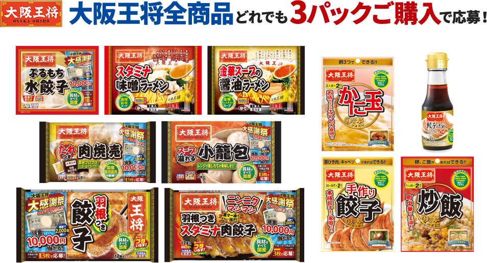 大阪王将 アクリルスタンド付き皿 新品未使用未開封 当選通知付き 大阪王将 アクリルスタンド付き皿 新品未使用未開封 当選通知