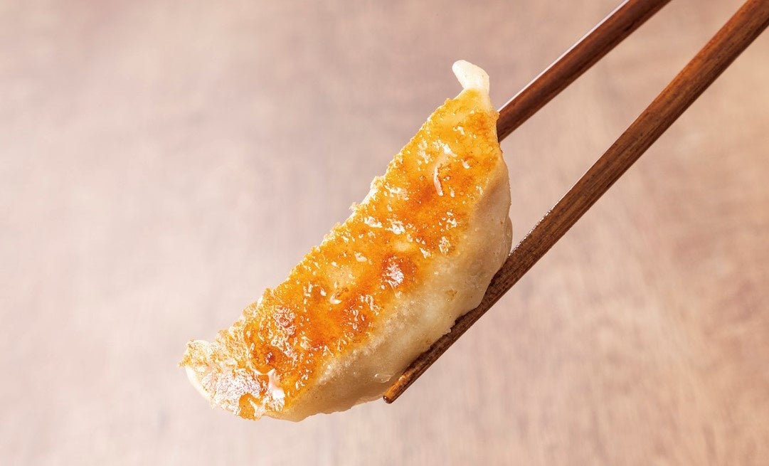 焼餃子 銀河系焼き餃子「GYOLAXY」1袋3個入×3袋セット : 岐阜夢餃子