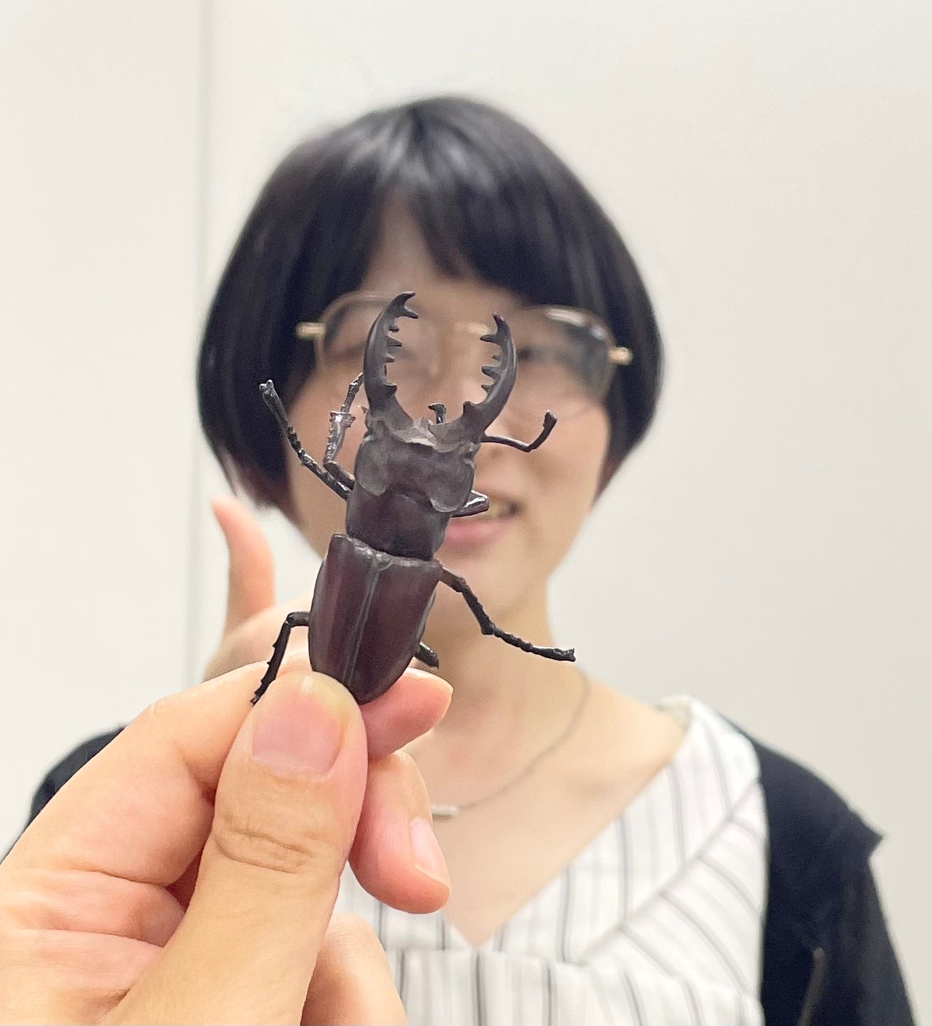 編集担当：川名由衣