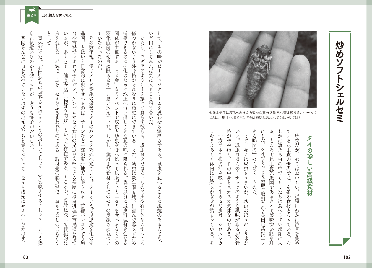 『虫への愛が止まらない』第２章より