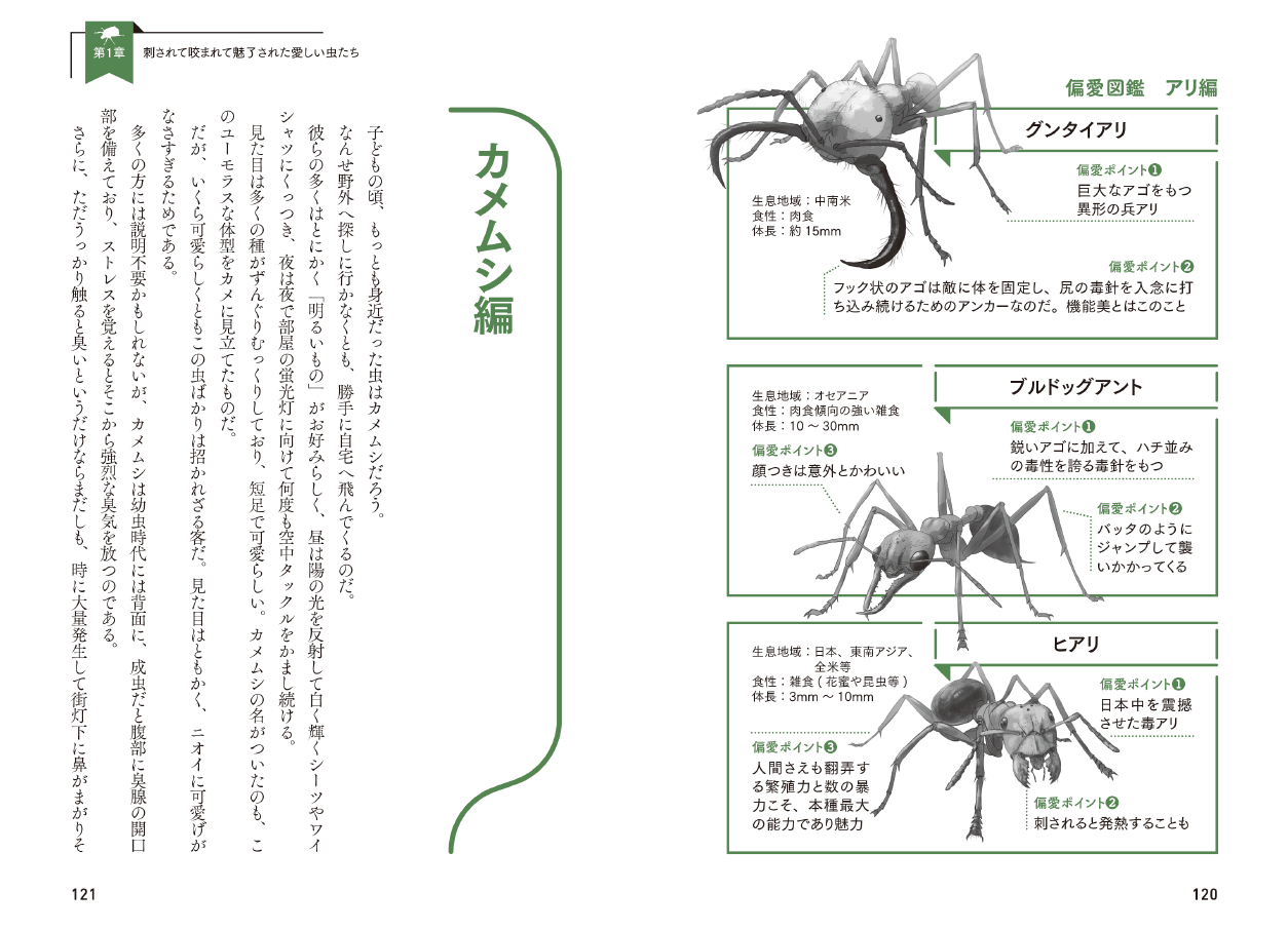 『虫への愛が止まらない』第１章より