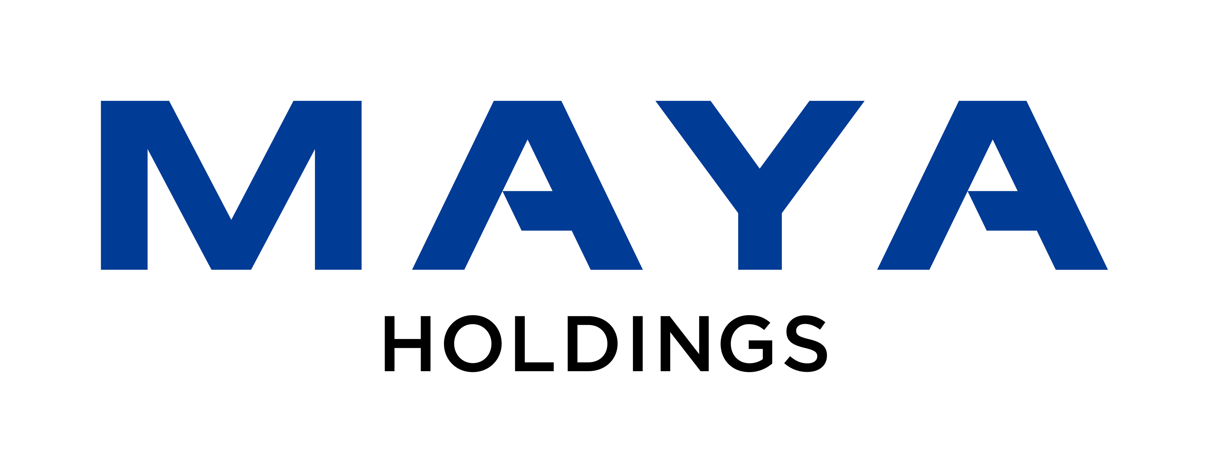 【株式会社MAYAホールディングス　会社概要】
