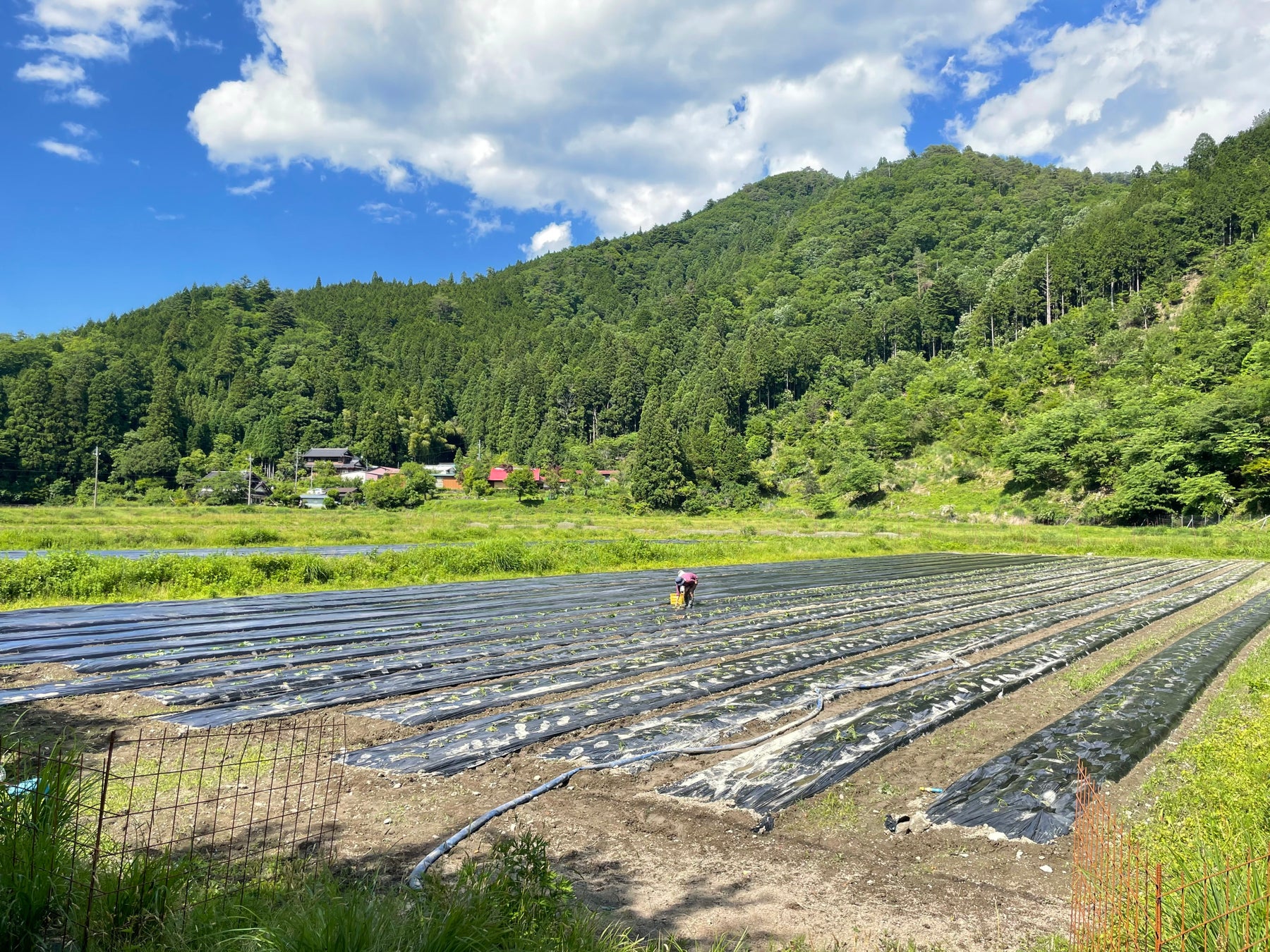 京都美山の畑