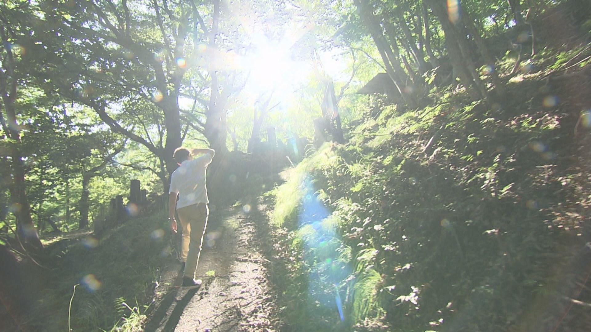 「パワースポットになる可能性、大」と藤森事務局長お墨付きの道祖神とは…