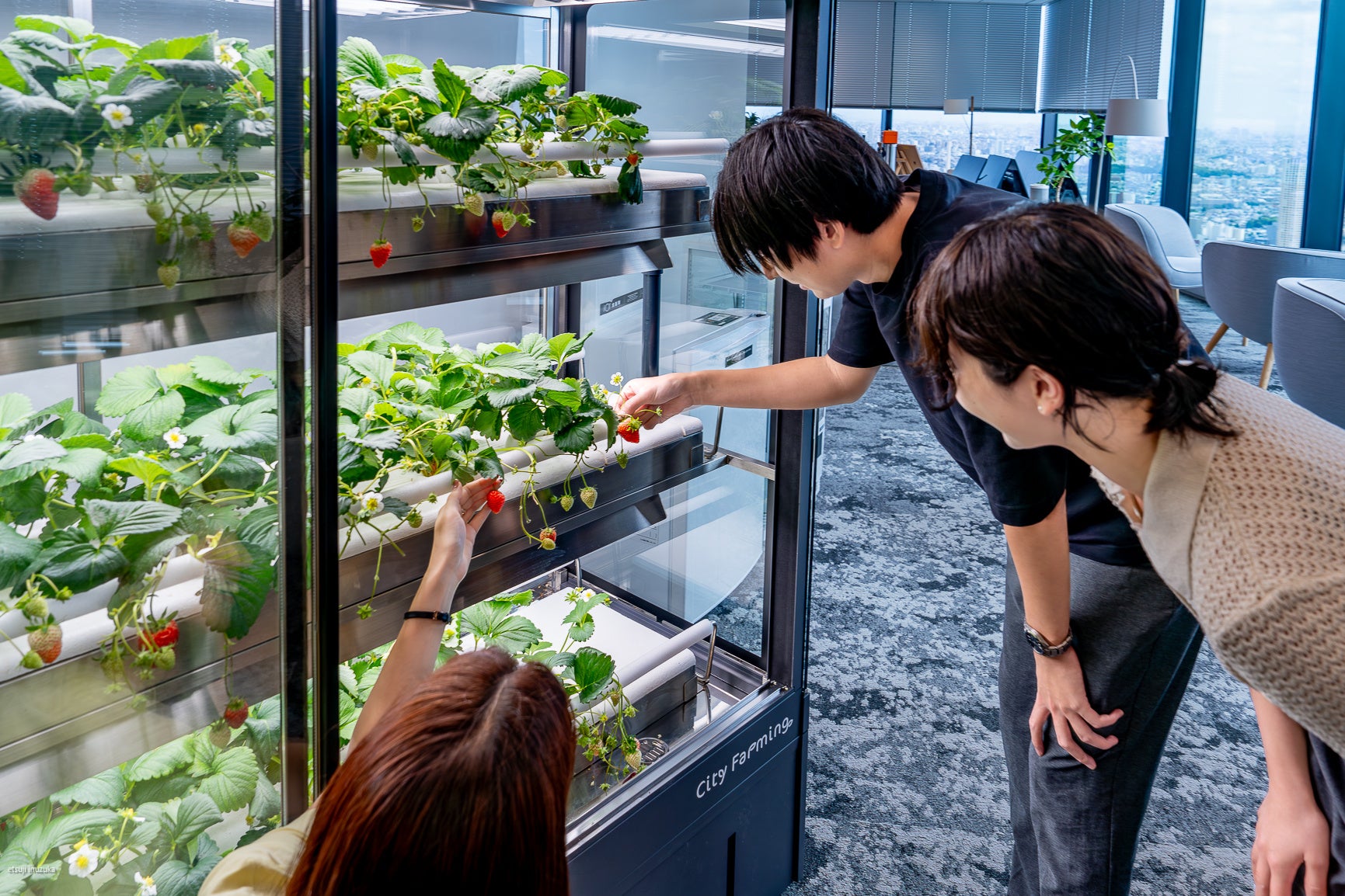 オフィス向け体験型コミュニケーションパッケージ「City Farming(シティファーミング)with Okamura」のサービス提供を開始