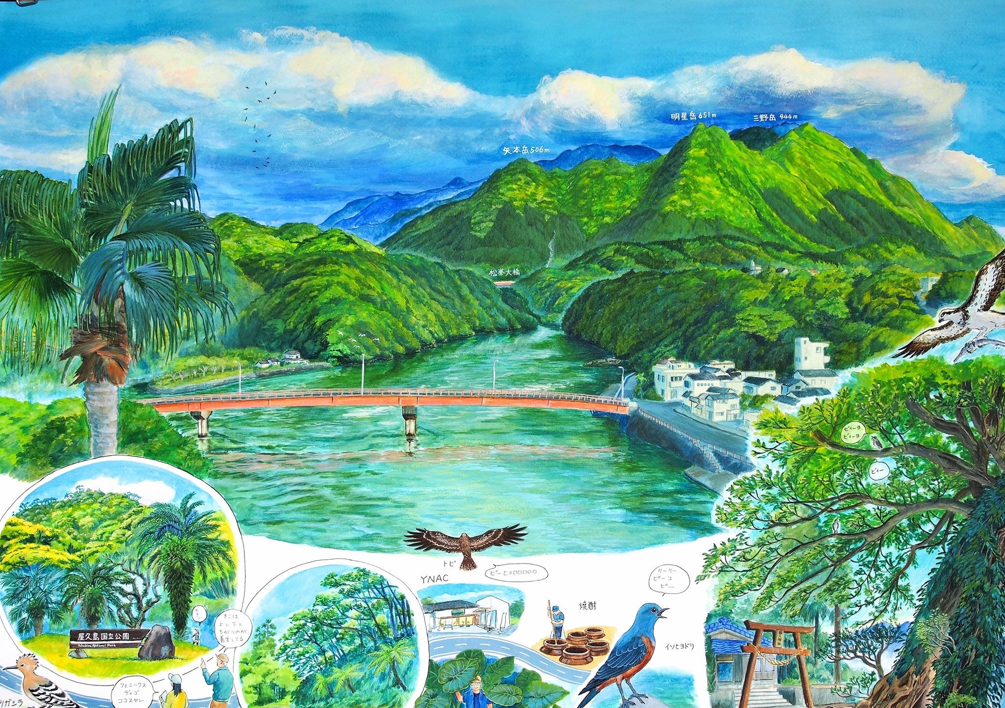 ついに千秋楽!屋久島大学専門家同行ツアーで魅力を発見しよう ついに千秋楽!屋久島大学専門家同行ツアーで魅力を発見しよう