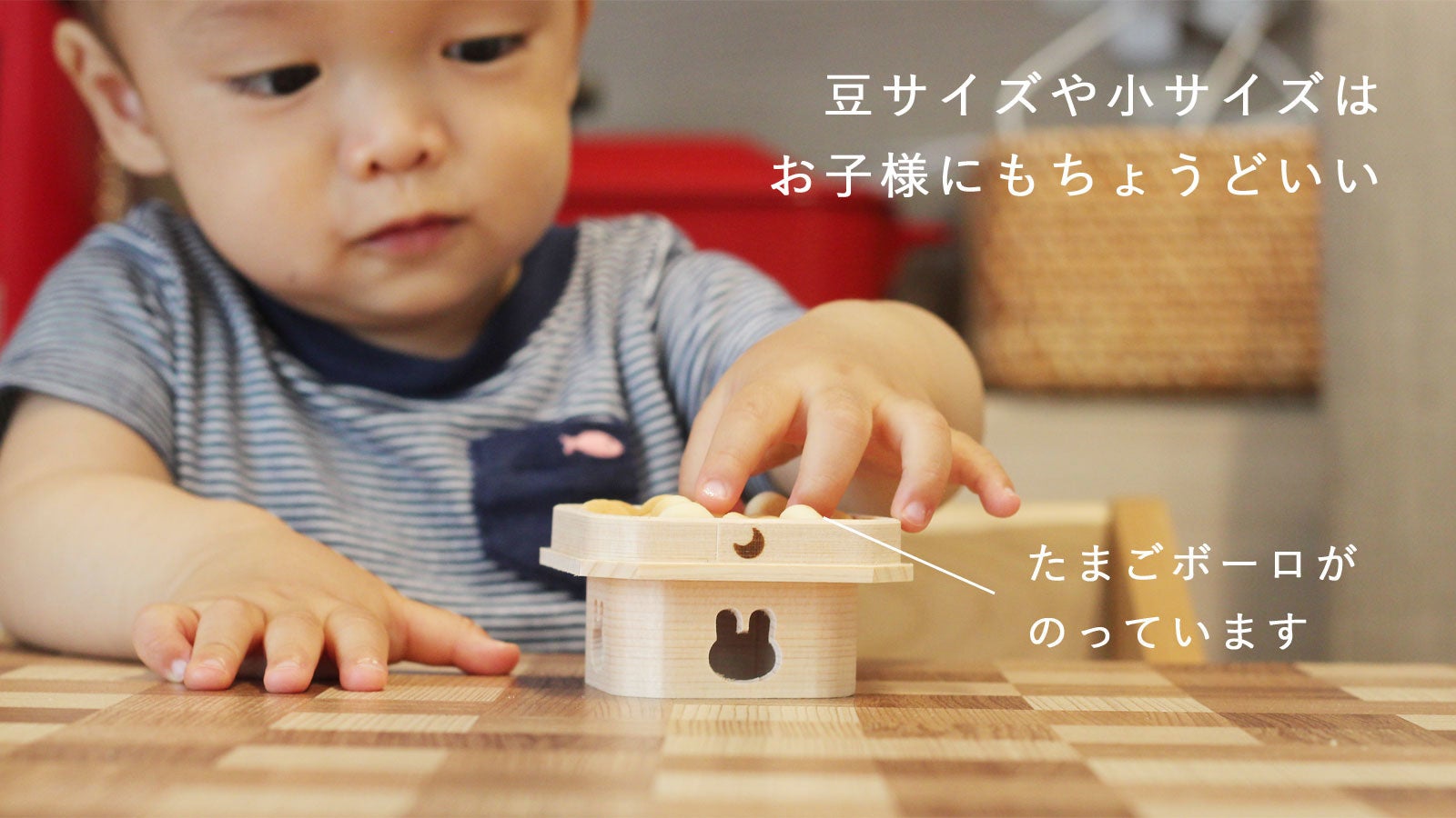 【一点もの】ぽんちゃん☆お月見 一点もの】ぽんちゃん様専用☆お月見