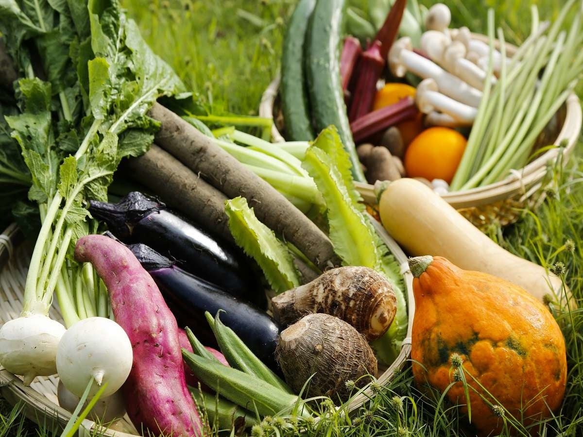 大和伝統野菜は必ず一種はお料理に使っています..