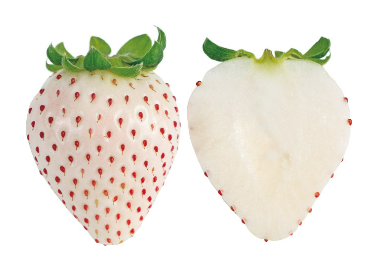 パールホワイト