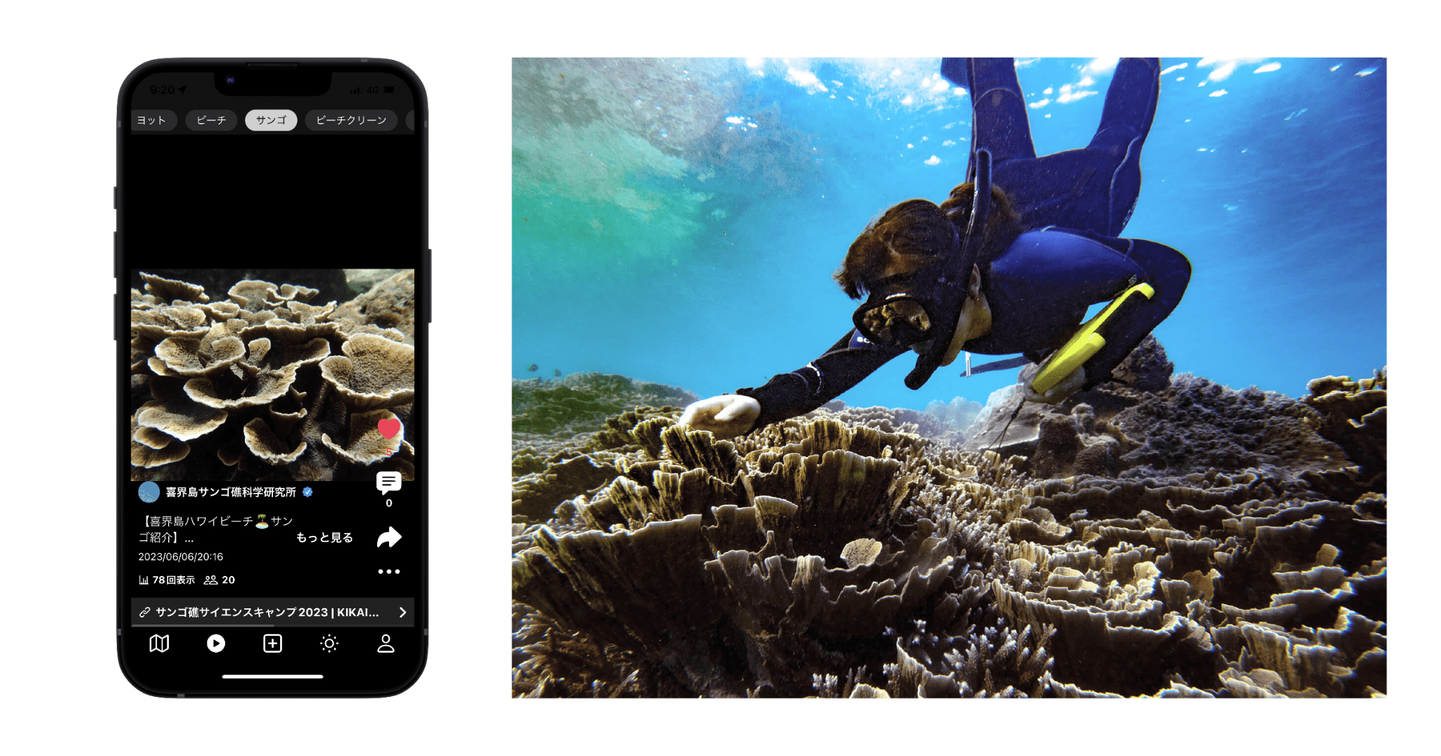 撮影：椛島賢斗