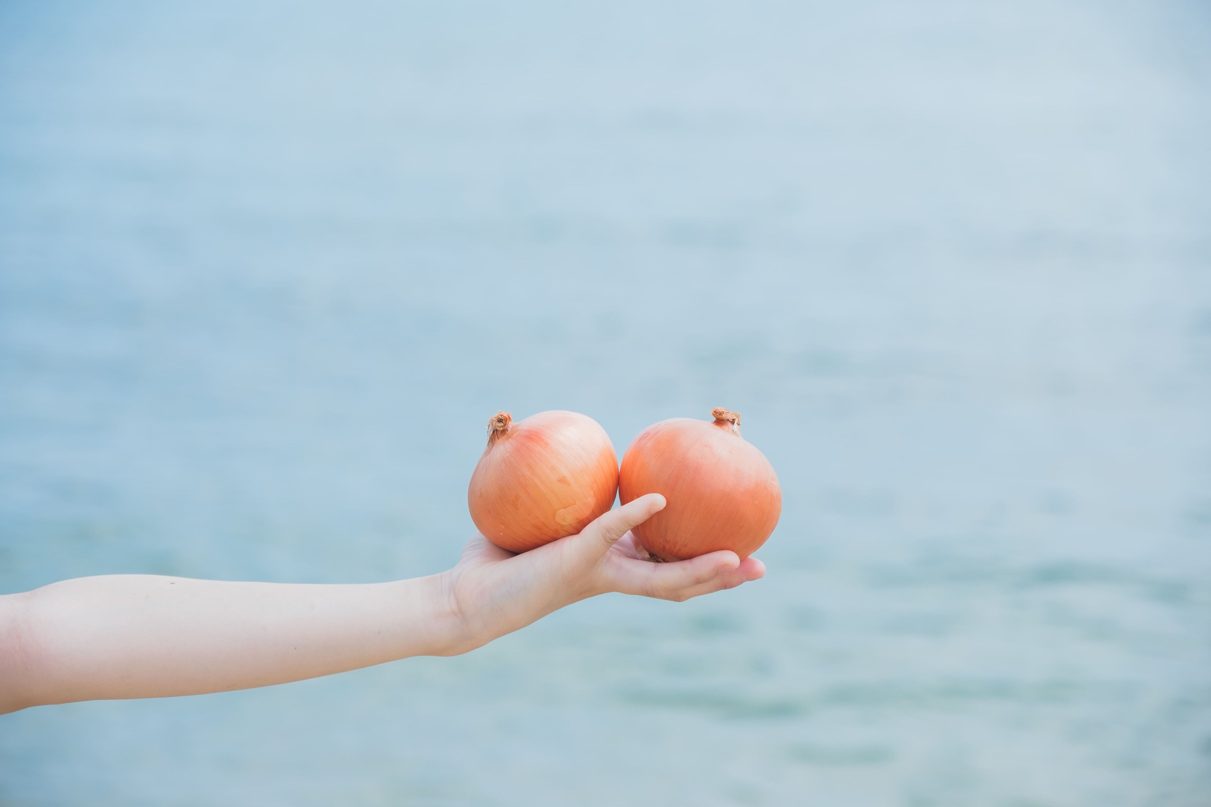 玉ねぎアイスなどの特長的なアイスも提供