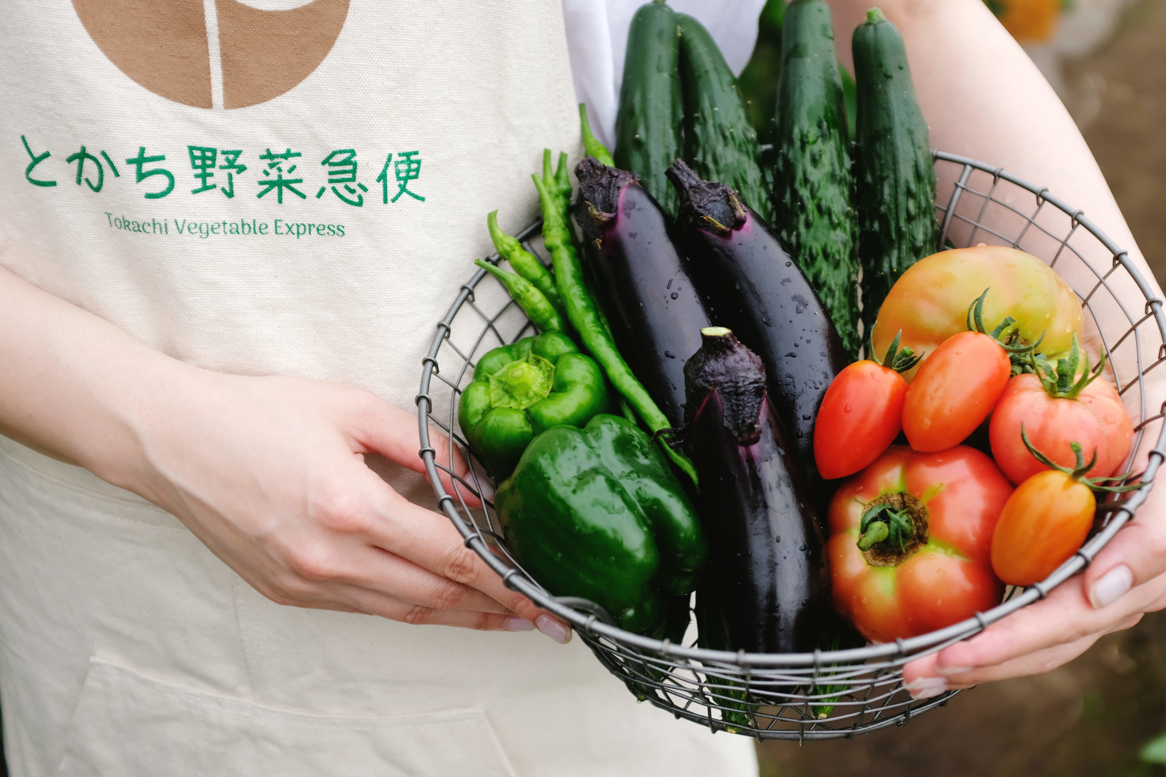 いちごけーき　北海道のおいし〜い野菜セット(^○^) いちごけーき 北海道のおいし〜い野菜セット(^○^) お家で