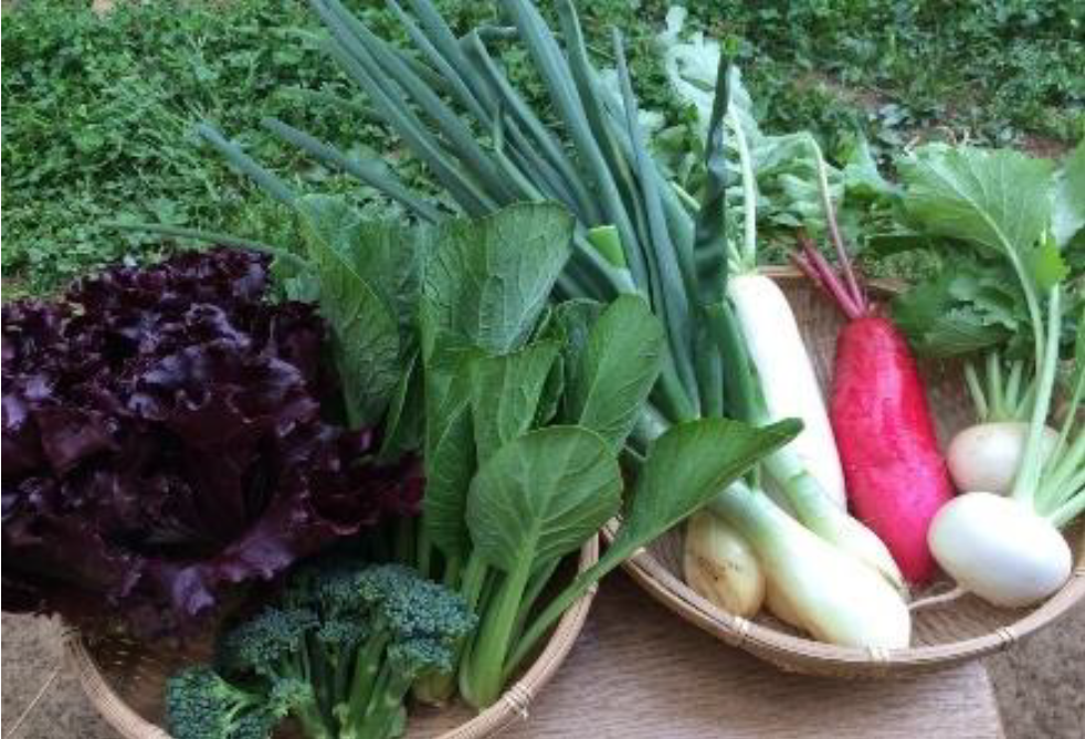 小江戸川越の採れたて野菜（イメージ）