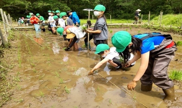 地元小学生が総合学習の一環で田植えを実施。