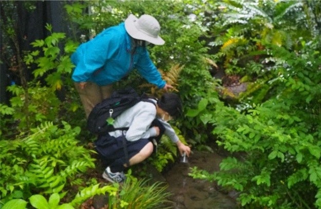 近隣の麴町中学校理科サークルの生徒とホタルの幼虫、カワニナ放流