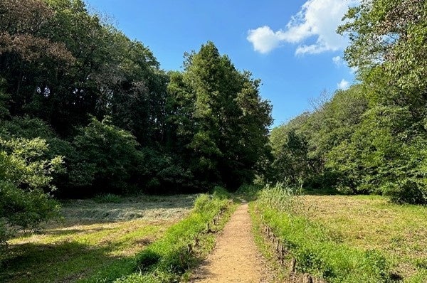 飯能・西武の森