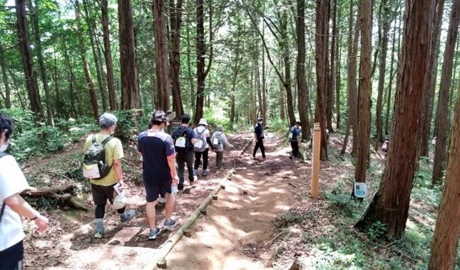 明るい「飯能・西武の森」を歩くハイカー。遠足やハイキングに多くの方々が来訪。