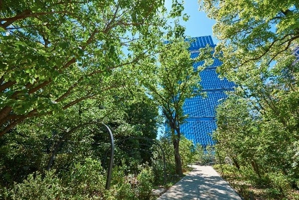 東京ガーデンテラス紀尾井町 光の森