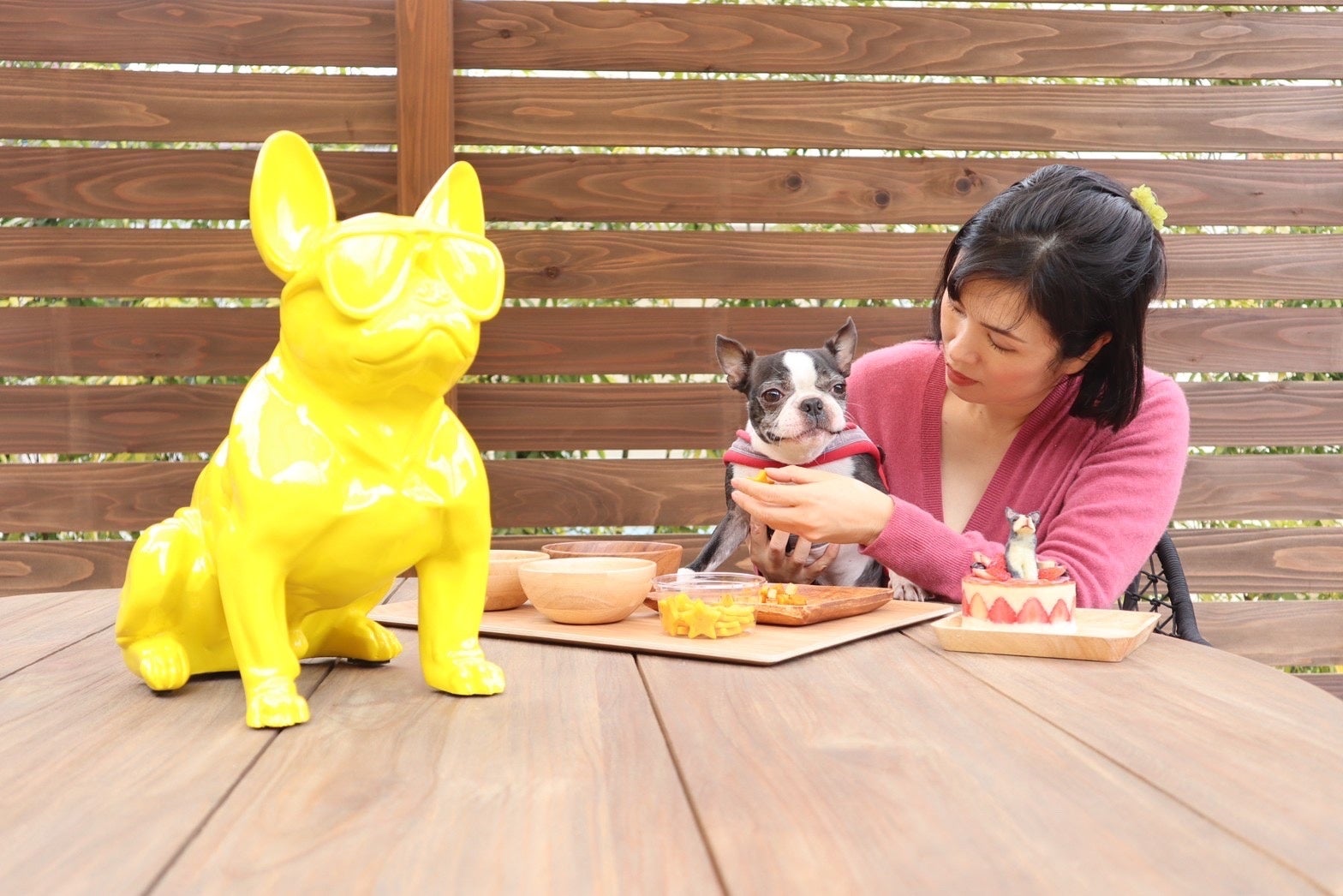 愛犬に特別なひとときをプレゼント。