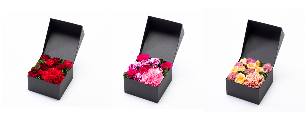 入手困難】ブランディボワール ケーキスタンド ドーム カバー付き 美品