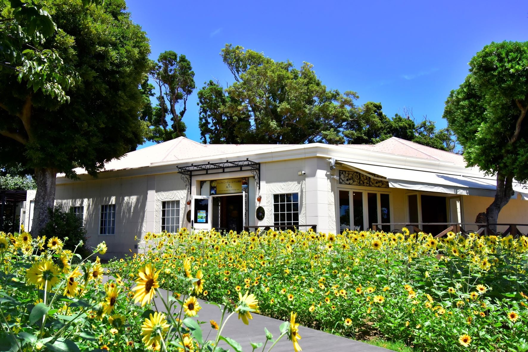 ミュージアムカフェ外観